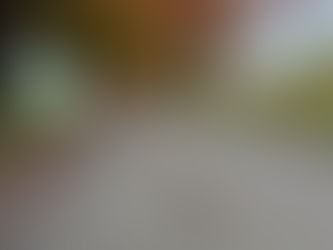 November at Windberry Farms