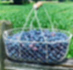 blueberry tarts with frozen tart shells