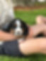 IMG_8650.jpeg
