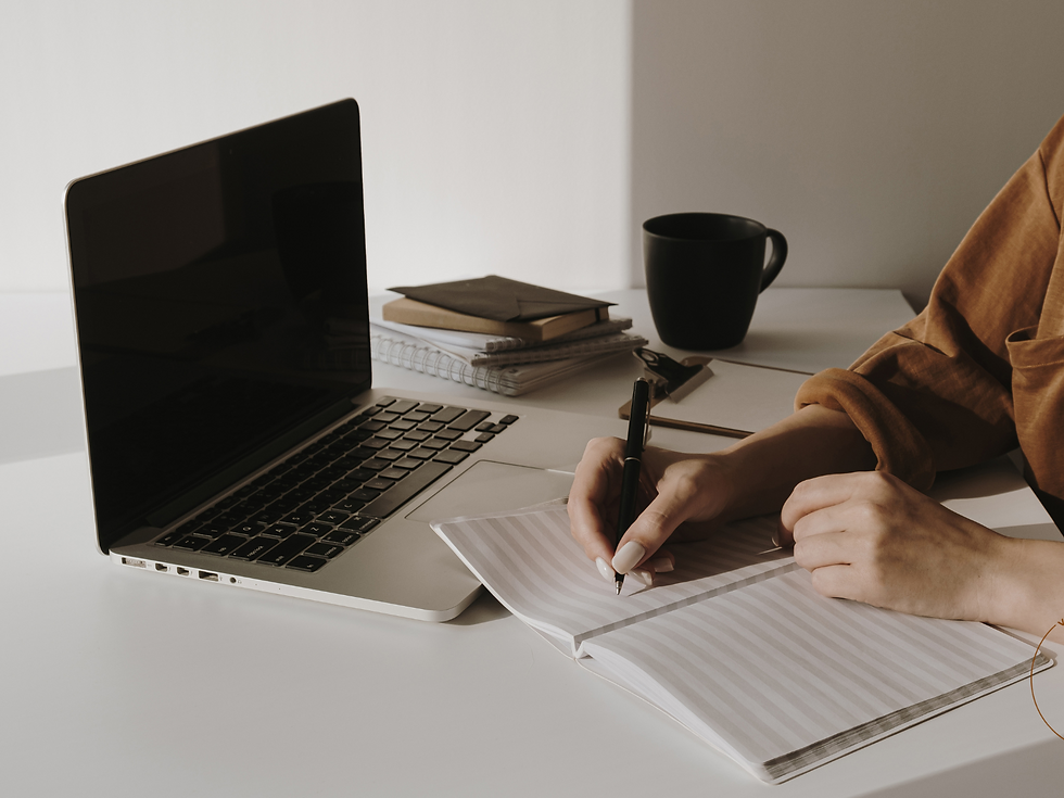 Auckland website designer