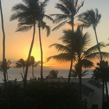 Watch Andrew's journey this summer in Hawaii, fulfilling his life-long wish.