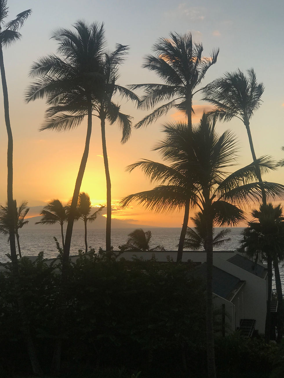 Watch Andrew's journey this summer in Hawaii, fulfilling his life-long wish.