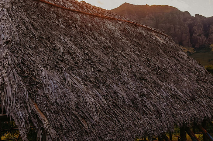 Kaananiau-Studio-Team-FINAL-211.jpg