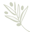 Olive_Branch_Embelishment_Green-01.png