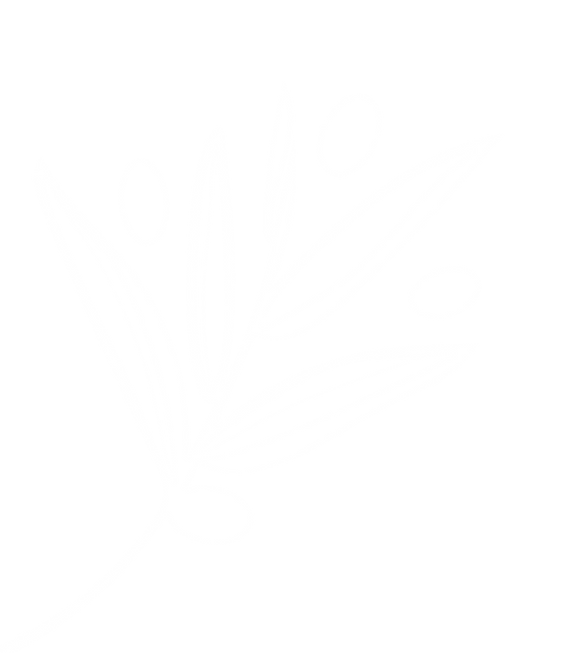 Olive_Branch_Embelishment_White