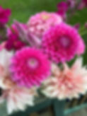 E1D80345-3606-4CCD-B969-C3C8D7546C51.jpeg