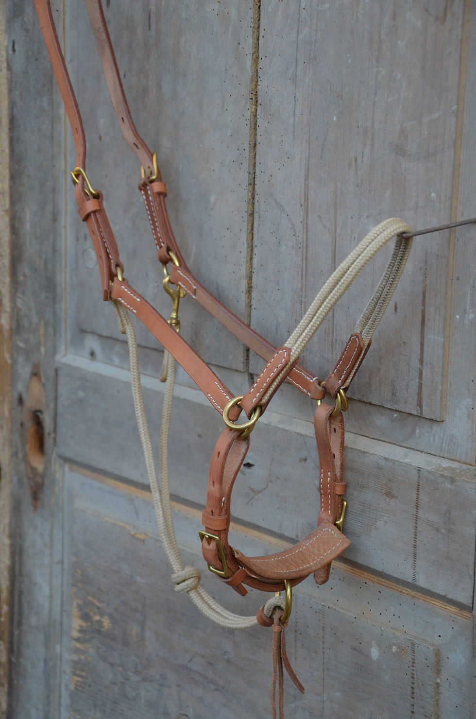 Miniaturbild: Trainingshalfter "Ranch Hand Elegance"