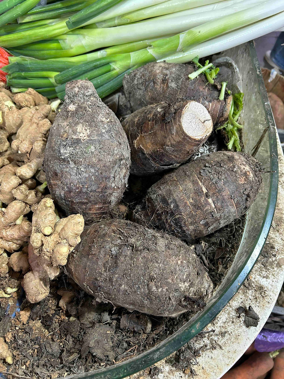 楊慎《寒朝早起即事》“What happened after I got up early on a cold morning” by Yang Shen (1488-1559)