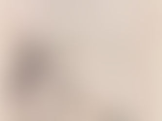 “Wuri Zhong Kui” 午日鍾馗 (Zhong Kui on [Double] Fifth Day) by Hua Yan華嵒 (1682-1756)