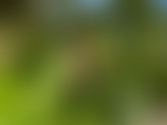 釋良琦《冬日過練川黃東溪隱居》“On a winter day, stopping by Lianchuan where Huang Dongxi lives in reclusion” by Monk Liangqi (fl. 14th century)