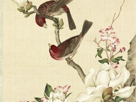 朱彝尊《鵲橋仙》To the tune “Queqiaoxian” by Zhu Yizun (1629-1709)