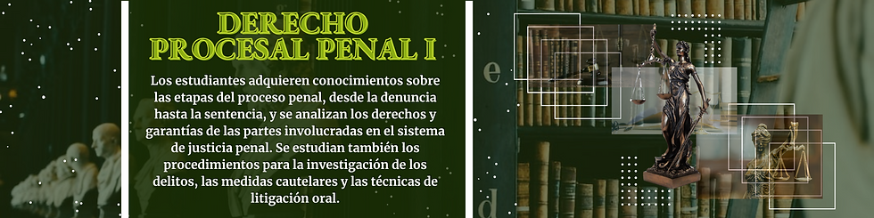 CURSOS NELLY (1).png
