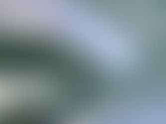 皆様お久しぶりです