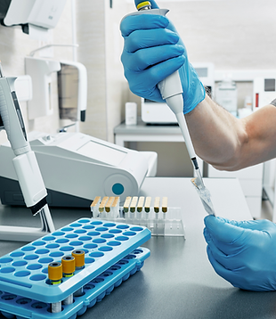 Mikro Pipetleme Genetik Materyal