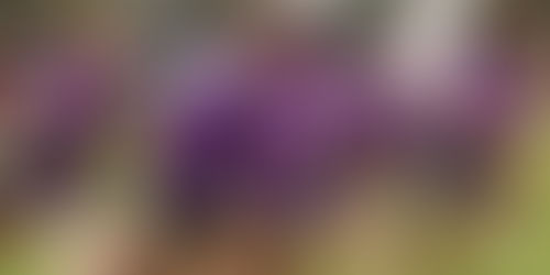 Load Management Part 2: The Effects of Detraining