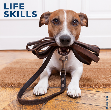 Consultation Graphic(2).png