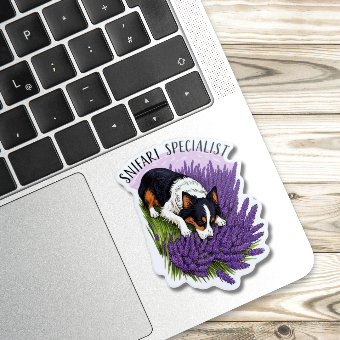 Snifari Specialist - Border Collie