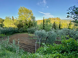 IMG_3109.jpeg