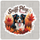 Thumbnail: Sniff Play Love - Border Collie 