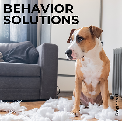 Dogerati Dog Training Behavior Solutions Package 