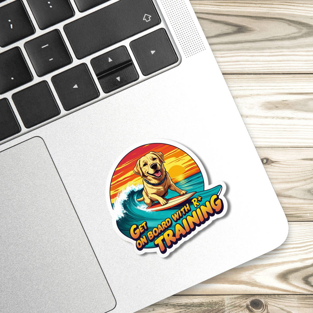 Get On Board R+ Training - Lab