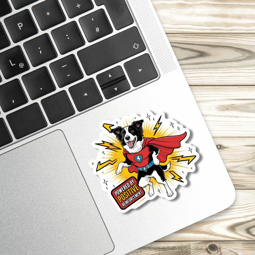 Powered Up Border Collie