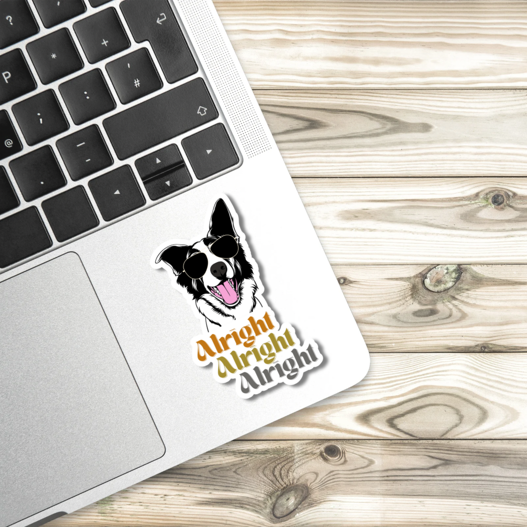 Cool Cat Border Collie