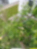 unnamed (2)_edited.jpg