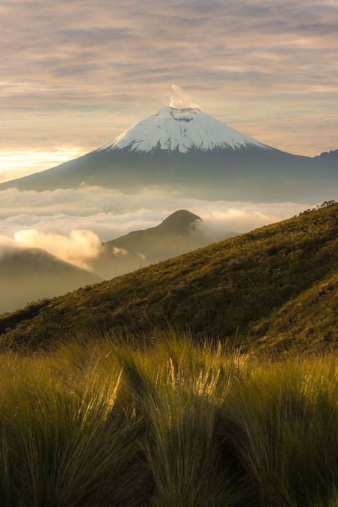 ecuador tca.jpeg