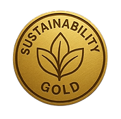 image-removebg-preview (1).png