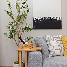 Luxe, style and modern living room.JPG