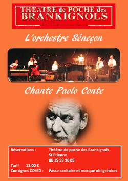 Séneçon