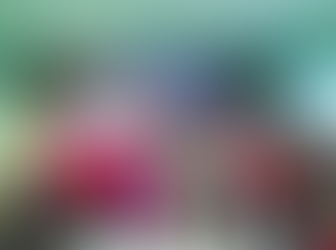 โครงการพัฒนาศักยภาพคณะกรรมการตำบลบานา