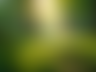 The Importance of Sustainable Living in Today's World