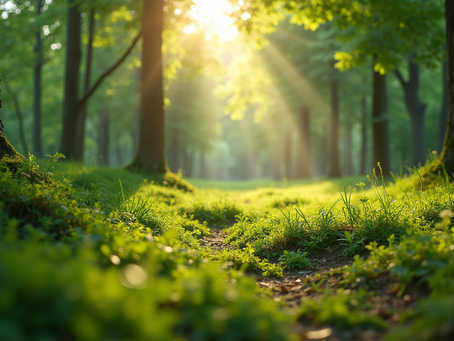 The Importance of Sustainable Living in Today's World