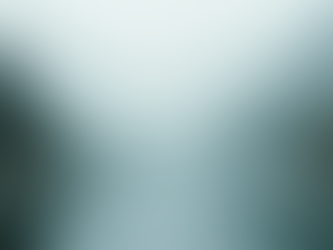 The Power of Mindfulness in Everyday Life