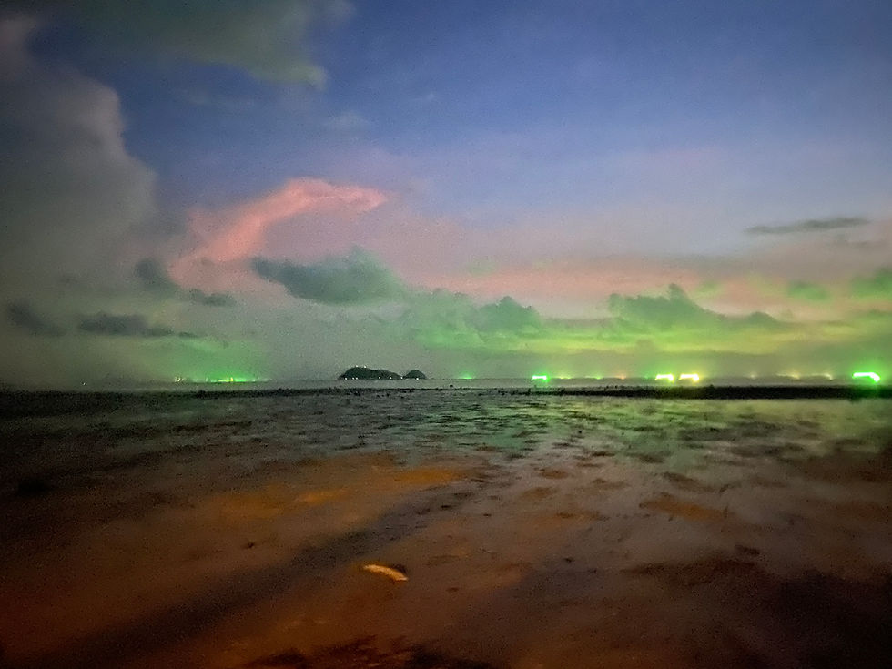 The truth behind our creation