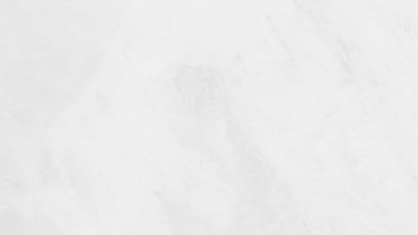 White Background_edited.jpg