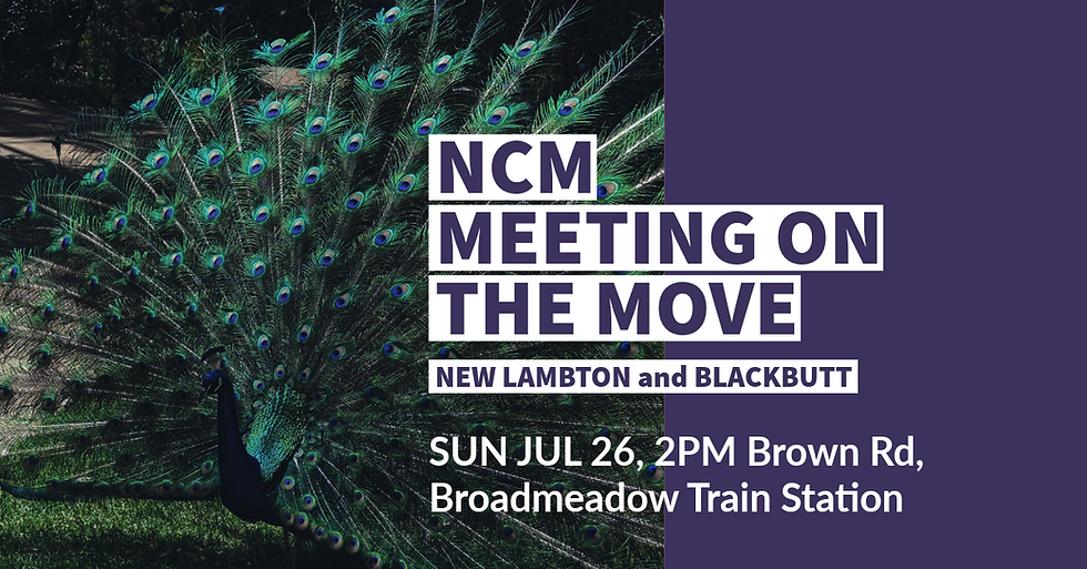 Meeting on the Move: A focus on safer cycling in New Lambton