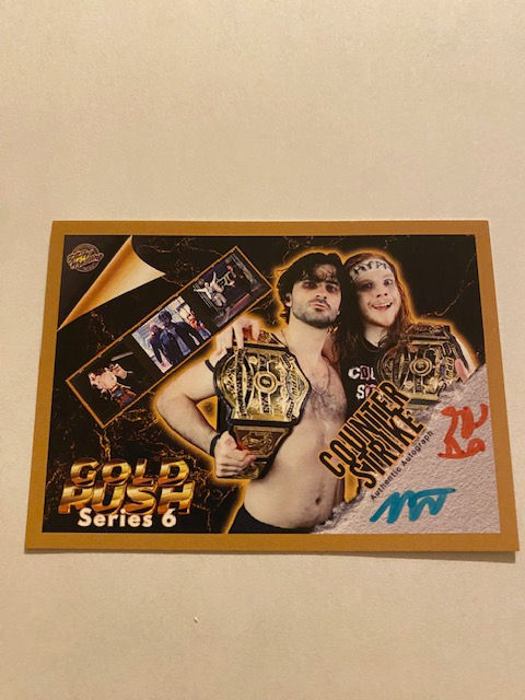 PPW TRADING CARDS SERIES 6 CHASE "GOLD RUSH" COUNTER STRIKE