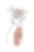 Premium Vector _ Woman line drawing flower head girl.jfif