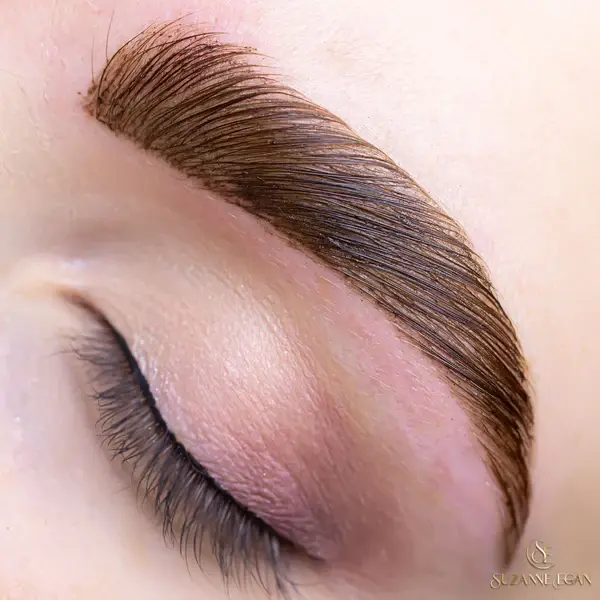 brow lamination course near me