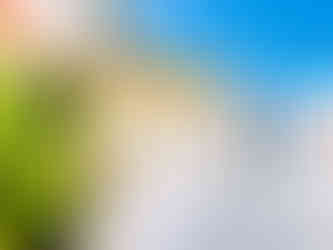 cenario com cactos, palmeiras e uma porta azul inspirada na grécia