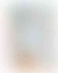 Uma sequência de fofura que mostra a desenvoltura do pequeno no cenário de bosque. A montagem destaca diferentes momentos: a alegria sentado na cadeira, a curiosidade ao ficar em pé e a fofura de um close-up enquanto ele se aproxima do chão.