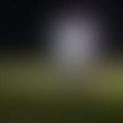 První měsíc v USA