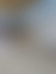 Tvůrčí předměty v USA