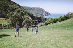 A game of Cricket