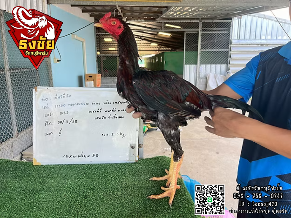 พ่อ:เยียร์มีชัย แม่: ทองกองปราบ เทาสามแสน เพชรคีรี หยกคีรี พลอย แสนรัก พี่หนึ่ง