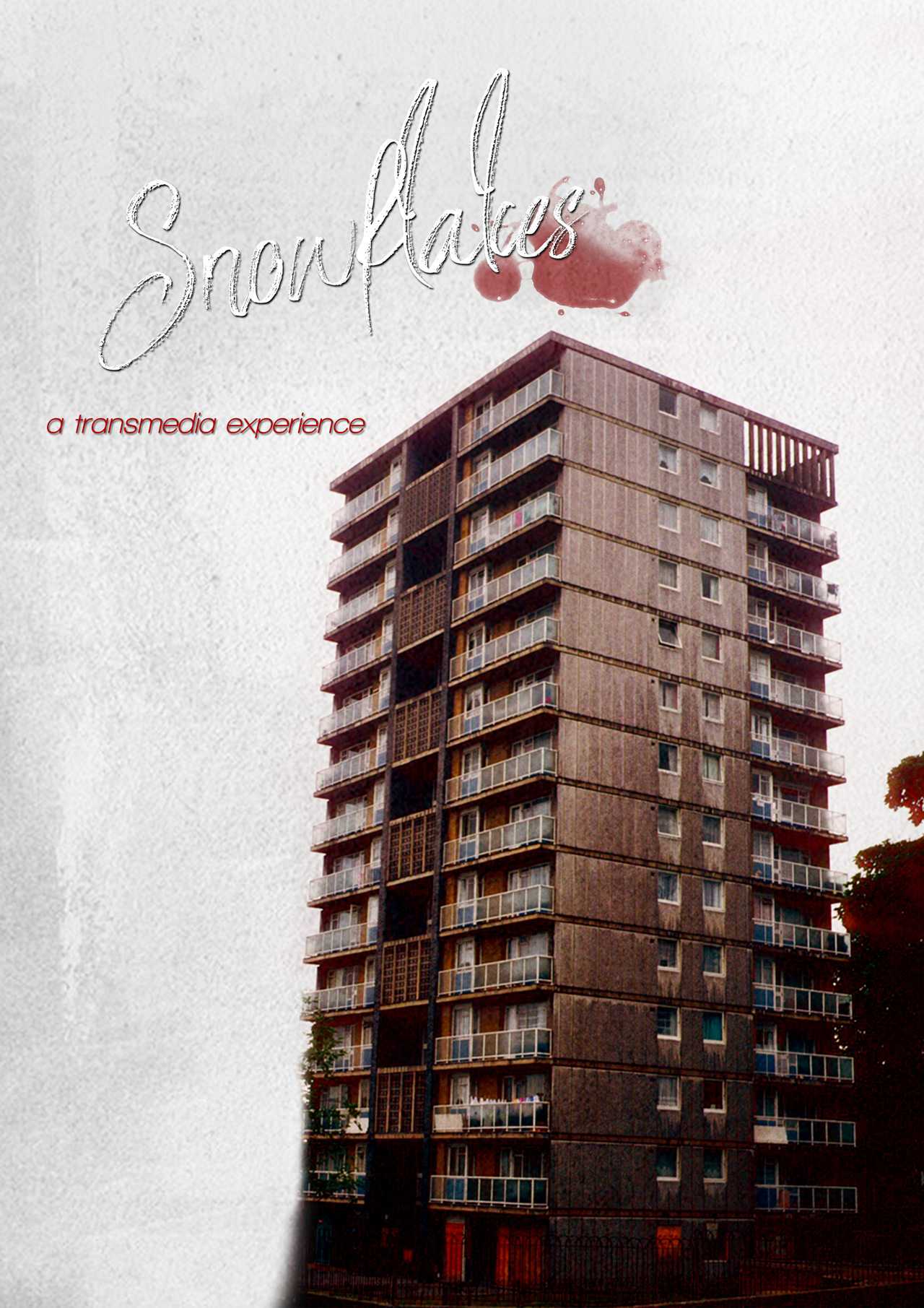 Snowflakes - transmedia