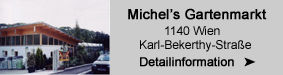 MichelsButton